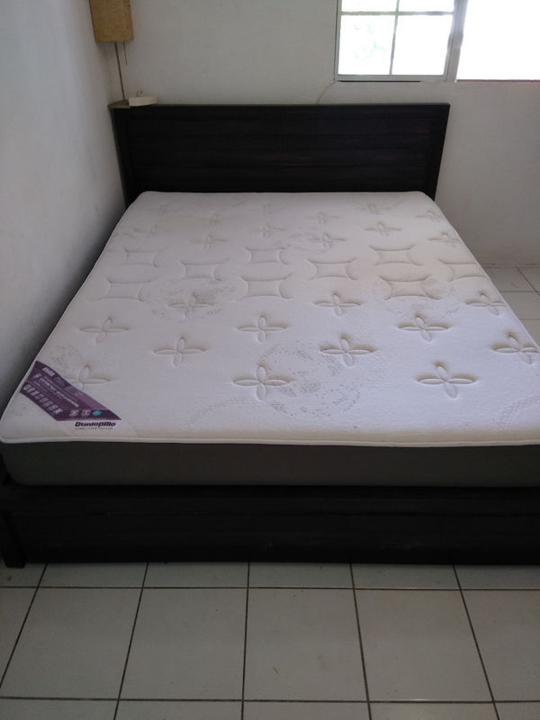 Bed 160 x 200 with dunlopillo mattress solid wood - Furniture and Decoration Saint • Cyphoma