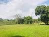 Photo de l'annonce Macouria terrain Macouria Guyane #1
