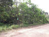 Photo de l'annonce terrain constructible Montsinéry-Tonnegrande Guyane #2