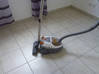 Photo for the classified A vacuum cleaner Bagless moulinex Saint Martin #1