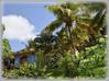 Photo de l'annonce Les Trois Ilets - Villa d'Architecte. Les Trois-Îlets Martinique #3
