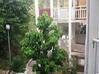 Photo for the classified Marigot-Agrement : 1 bedroom - Sea view Saint Martin #6