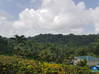 Photo de l'annonce Villa - Hotel des Plaisirs - Saint. Saint-Joseph Martinique #5