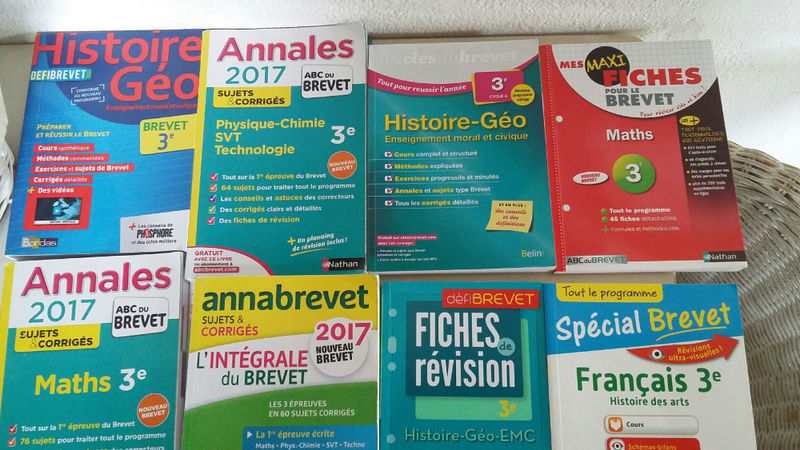 Lot 8 Livres Brevet Materiel Et Livres Scolaires Saint Martin Cyphoma