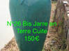 Photo de l'annonce vide jardin plantes en pot / jarre Saint-Martin #26