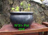 Photo for the classified Garden vacuum potted plants / jar Saint Martin #33