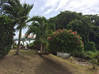 Photo de l'annonce Villa avec piscine et carbet Le Vauclin Martinique #12