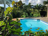Photo de l'annonce Villa avec piscine et carbet Le Vauclin Martinique #19