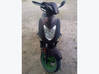 Photo for the classified Scooter Kymco 50cc Saint Barthélemy #1