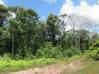 Photo de l'annonce Terrain Agricole De 2 Hectares A Roura... Roura Guyane #0