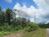 Photo de l'annonce Terrain Agricole De 2 Hectares A Roura... Roura Guyane #1
