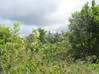Photo de l'annonce Terrain Agricole De 2 Hectares A Roura... Roura Guyane #3