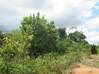 Photo de l'annonce Terrain Agricole De 2 Hectares A Roura... Roura Guyane #4