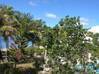 Photo for the classified Bay Nettle - studio furnished with a view Saint Martin #4
