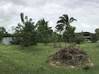 Photo de l'annonce magnifique terrain constructible Matoury Guyane #6