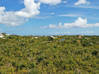 Photo for the classified low-lying land - land to be set - 14,000 m2 Terres Basses Saint Martin #2