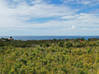 Photo de l'annonce LOW LANDS - LAND for SALE - 14 000 M2 Terres Basses Saint-Martin #0