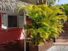 Photo de l'annonce studio climatisé meublés sur jardin et piscine Sainte-Anne Guadeloupe #5