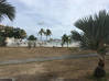 Photo de l'annonce studio baie nettle laguna Cole Bay Sint Maarten #13