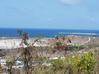 Photo for the classified Land Sea View Saint Martin #2