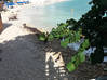 Photo de l'annonce Gardin et vue mer appartement Beacon Hill SXM Beacon Hill Sint Maarten #3