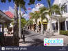 Photo de l'annonce Sint Maarten Saint-Martin #3