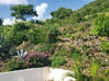 Photo for the classified Magnificent Townhouse, Diamond Estate St. Maarten Cole Bay Sint Maarten #17
