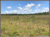 Photo de l'annonce Un Terrain Agricole De 30 Hectares A... Cayenne Guyane #1