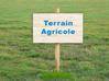 Photo de l'annonce Le Moule Terrain Agricole De 3763m² Le Moule Guadeloupe #0