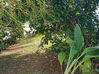 Photo de l'annonce Villa Sainte Marie 4 pièce(s) Fond. Sainte-Marie Martinique #4
