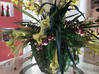 Photo de l'annonce belle fleur d’orchidée artificielle Saint-Martin #0
