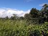Photo de l'annonce Baie Mahault terrain - Terrain de... Baie-Mahault Guadeloupe #0