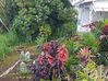 Photo de l'annonce Ste Luce villa f3 et bungalow de 73 m². Sainte-Luce Martinique #10