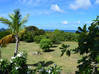 Photo de l'annonce Magnifique Villa au style caribéen Terres Basses Saint-Martin #2