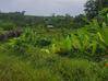 Photo de l'annonce Terrain Montsinnery Tonnegrand Montsinéry-Tonnegrande Guyane #0