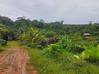 Photo de l'annonce Terrain Montsinnery Tonnegrand Montsinéry-Tonnegrande Guyane #3