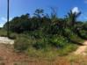 Photo de l'annonce Terrain agricole Montsinery Tonnegrande Montsinéry-Tonnegrande Guyane #0