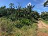 Photo de l'annonce Terrain agricole Montsinery Tonnegrande Montsinéry-Tonnegrande Guyane #1