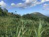 Photo de l'annonce Deshaies - Terrain vue mer 3014 m2 Deshaies Guadeloupe #2