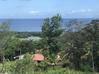 Photo de l'annonce Deshaies - Terrain vue mer 3014 m2 Deshaies Guadeloupe #3