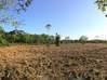 Photo de l'annonce Terrain agricole Macouria Macouria Guyane #3
