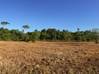 Photo de l'annonce Terrain agricole Macouria Macouria Guyane #5