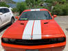 Photo for the classified Dodge Challenger Saint Martin #0