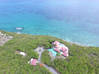 Photo for the classified Terres Basses Luxury Villa on the water St. Martin Terres Basses Saint Martin #23