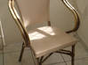 Photo de l'annonce 2 chaises acier imitation bois Saint-Martin #0
