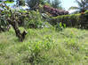 Photo de l'annonce Propriété avec Villa, jardin + dépendance Fort-de-France Martinique #4
