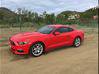 Video for the classified Ford Mustang 50th Anniversary Numbered Model Saint Martin #7