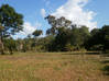 Photo de l'annonce Terrain agricole aménagé de 1,2 hectare Roura Guyane #4