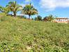 Photo de l'annonce Basse Pointe terrain Basse-Pointe Martinique #5
