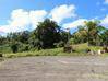 Photo de l'annonce Basse Pointe terrain Basse-Pointe Martinique #9